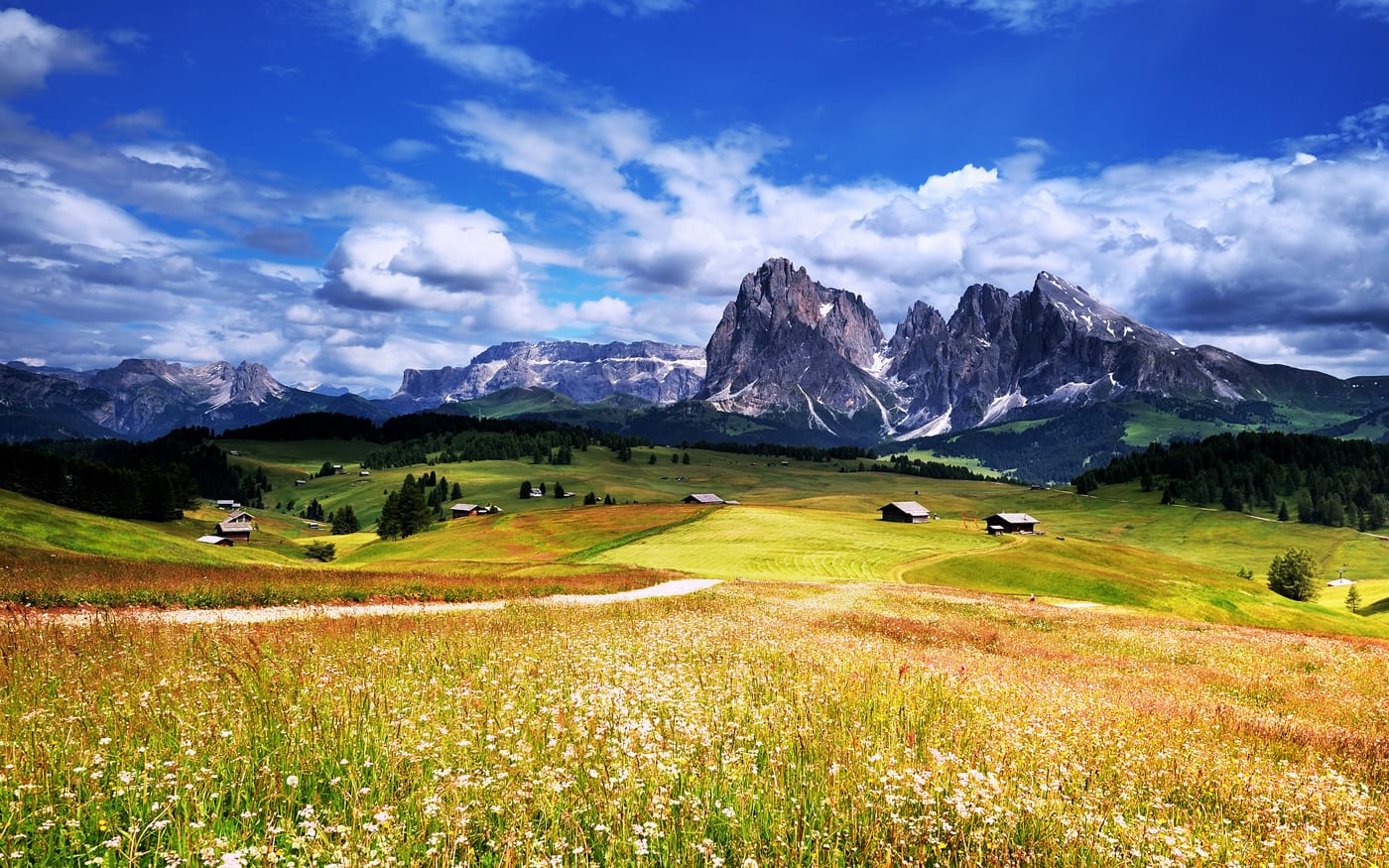 paesaggio alpino con verdi foreste